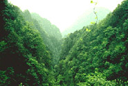 Mount Emei Scenic Area