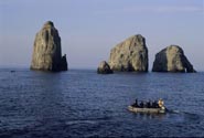 Malpelo Fauna and Flora Sanctuary