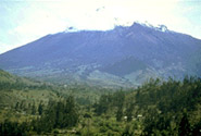 Sangay National Park