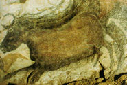 Decorated Caves of the V�z�re Valley
