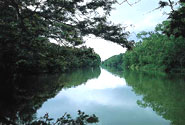 Río Plátano Biosphere Reserve