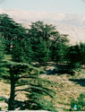 Ouadi Qadisha (the Holy Valley)