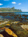  Cape Floral Region Protected Areas