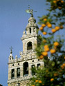 Indias in Seville
